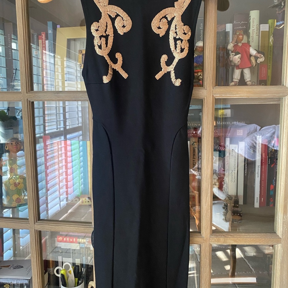 Elegant Black and Gold Women's Dress